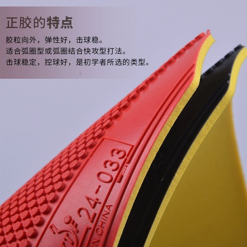 Karet Tenis Meja DHS Dragon Sh - Table Tennis For Sale ulasan dan harga